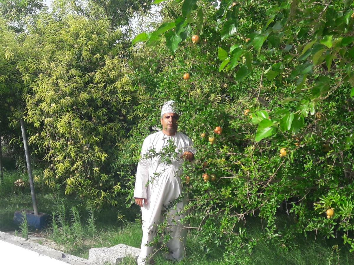 Abu Omair Jabal Shams House Hotel Al Hamra ภายนอก รูปภาพ