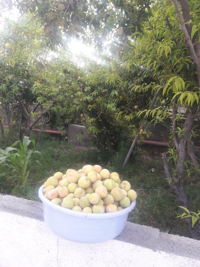 Abu Omair Jabal Shams House Hotel Al Hamra ภายนอก รูปภาพ